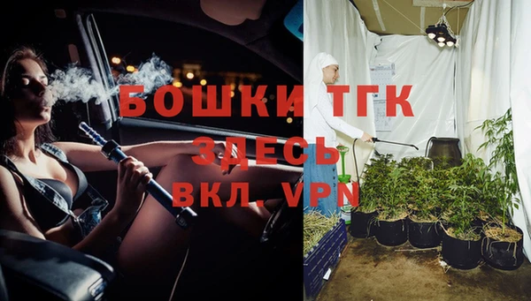 PSILOCYBIN Осинники