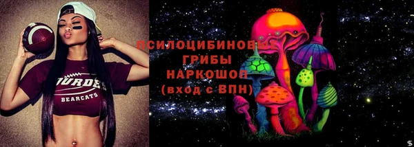 стафф Пересвет
