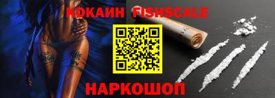 стаф Дубна