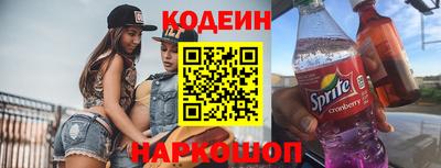 стаф Дубна