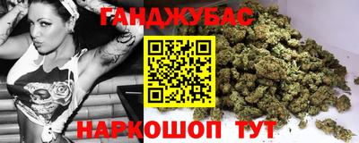 стаф Дубна