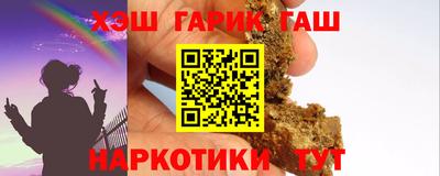 стаф Дубна