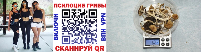 что такое   Лыткарино  Псилоцибиновые грибы ЛСД 