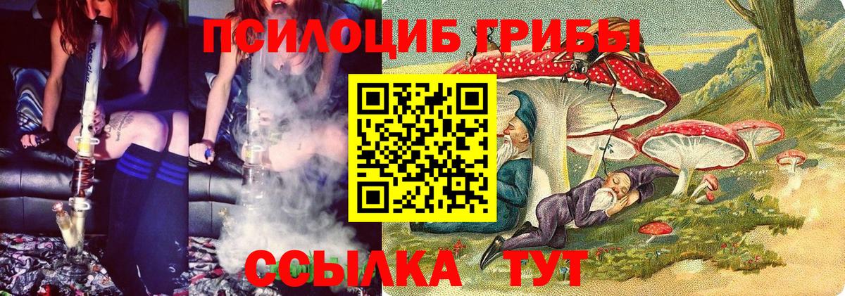 Лыткарино  где продают   Вход с VPN  Галлюциногенные грибы прущие грибы 