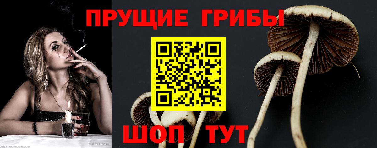 Псилоцибиновые грибы Magic Shrooms Лыткарино