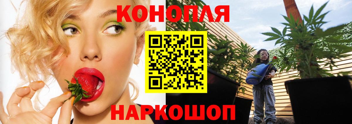 Бошки Шишки AK-47  Бошки Шишки индика  Канабис гибрид  Вход с VPN  Лыткарино 